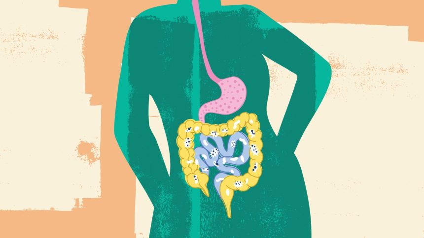 8 things to know about the gut microbiome and keeping yours healthy : NPR
