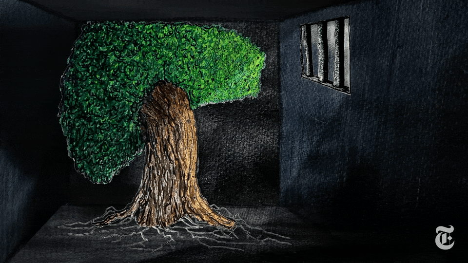 A Poetic Short Film Animates the Counterproductive Forces of Incarceration — Colossal