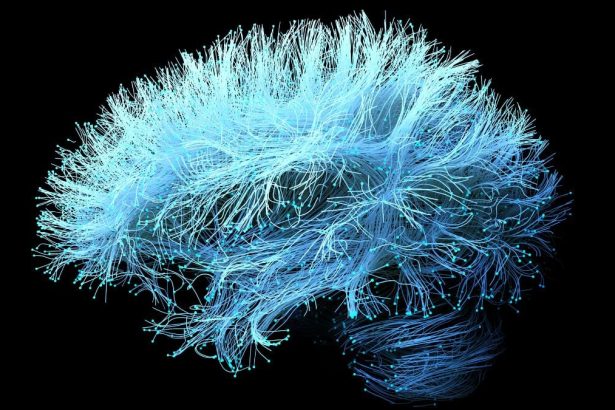 A Supplement For Joint Pain Could Accelerate Alzheimer’s Memory Loss : ScienceAlert