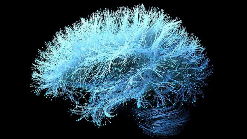 A Supplement For Joint Pain Could Accelerate Alzheimer’s Memory Loss : ScienceAlert