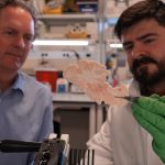 A science powerhouse bets on genetic therapy to beat brain disorders : NPR