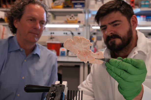 A science powerhouse bets on genetic therapy to beat brain disorders : NPR
