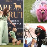 Adorable doggy fashion show ‘Dare to Strut’ takes Los Angeles by storm