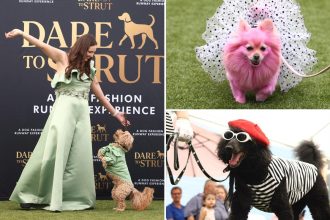 Adorable doggy fashion show ‘Dare to Strut’ takes Los Angeles by storm