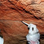 Ancient human DNA found on cave art for the first time