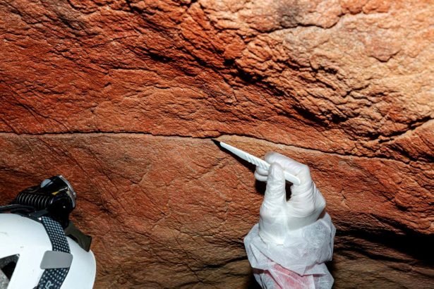 Ancient human DNA found on cave art for the first time