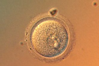 Are we getting to the point where it’s safe to gene-edit babies?