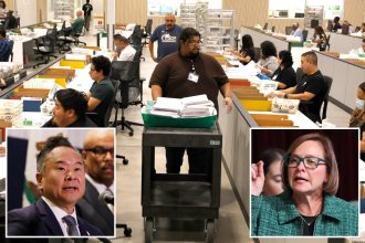 Bid to put noncitizen voting on LA’s November ballot killed