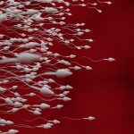 Can GLP-1s boost testosterone levels?