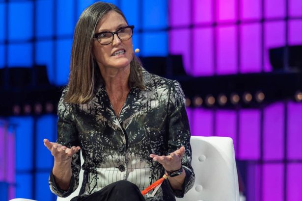 Cathie Wood buys 9.7 million of popular new stock