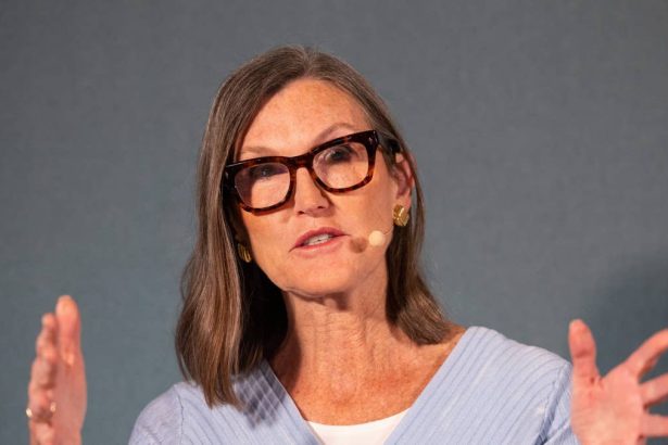 Cathie Wood dumps nearly  million in popular growth stocks