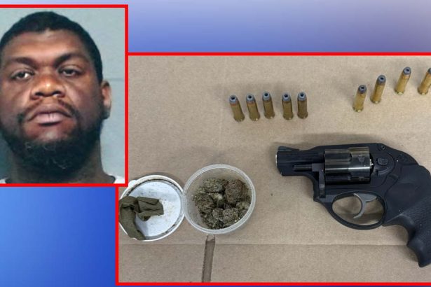 Cops stop man for rolling joint on Red Line, find pistol in his pocket: allegations