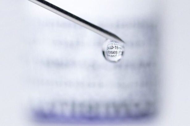 Covid vaccination cut risk of adverse heart events, large study finds