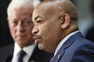 Democrats seek more control over referenda in New York