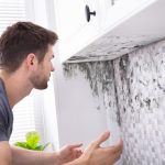 Does renters insurance cover mold damage?