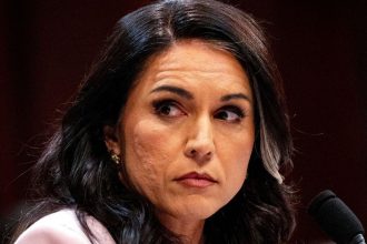 Everything to Know About Tulsi Gabbard After She Resigns From Position