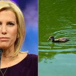 Fox News Host Blames Dems For Reflecting Pool Issues And Critics Aren’t Having It