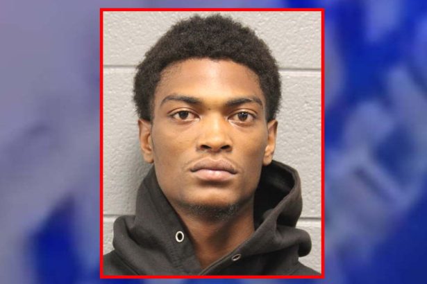 Gunman fired shot while trying to rob victim on Green Line train, prosecutors say