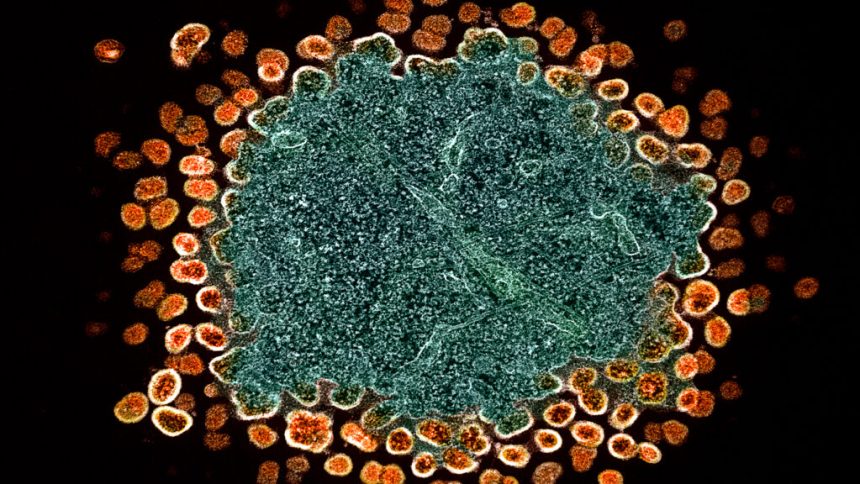 HIV, NIH, Ebola, gender care, puberty: Morning Rounds