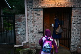 How socioeconomic status shapes the developing brain