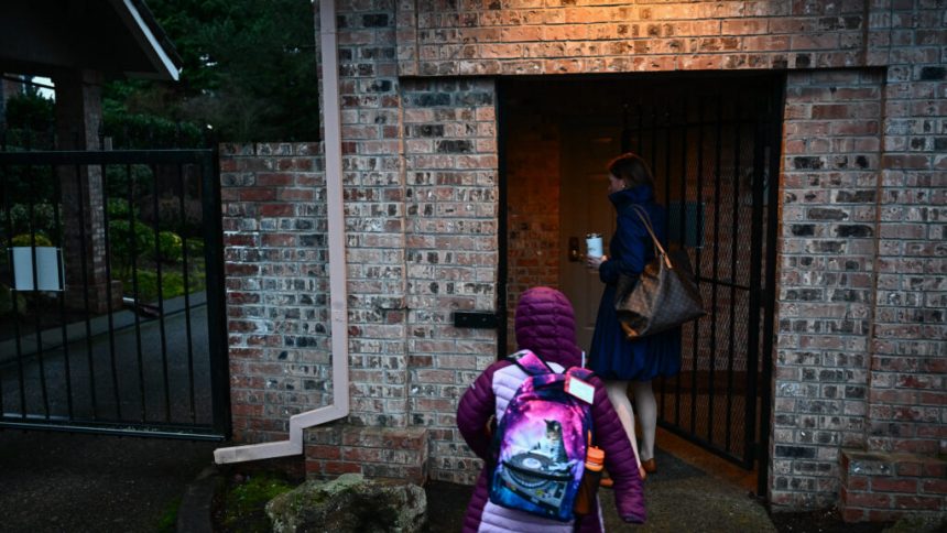 How socioeconomic status shapes the developing brain