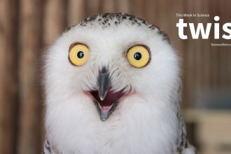 Iceman Microbes, Bawdy Birds, And Much More! : ScienceAlert
