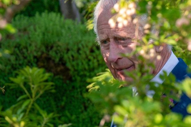 Inside King Charles ‘Healing Garden’ During Cancer Battle’