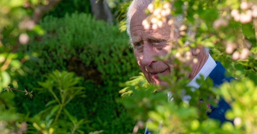 Inside King Charles ‘Healing Garden’ During Cancer Battle’