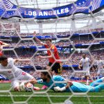 Iran's fans, pro and con