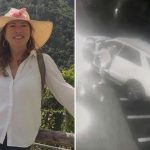 Italian socialite Cinzia Dal Pino sentenced for repeatedly running down bag thief with her Mercedes