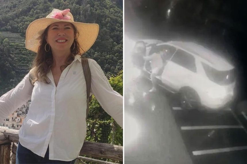 Italian socialite Cinzia Dal Pino sentenced for repeatedly running down bag thief with her Mercedes