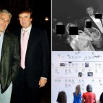 Jeffrey Epstein was obsessed with trying to take down Trump before suicide: report