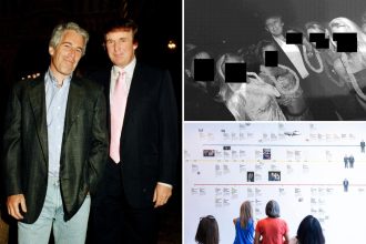 Jeffrey Epstein was obsessed with trying to take down Trump before suicide: report