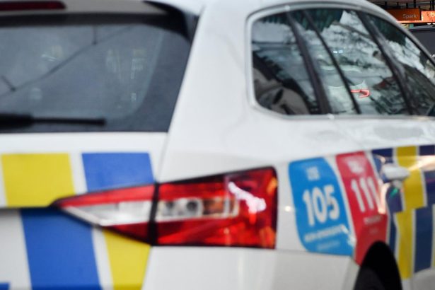 Man suspected of indecent assaults around Hagley Park arrested