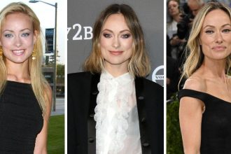 Olivia Wilde’s Transformation Over The Years: Before & After Photos