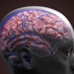 One Specific Blood Protein Can Identify Dementia Risk Decades Before Diagnosis : ScienceAlert