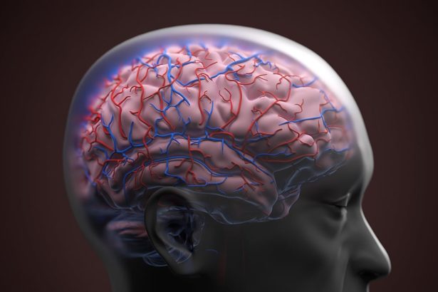 One Specific Blood Protein Can Identify Dementia Risk Decades Before Diagnosis : ScienceAlert