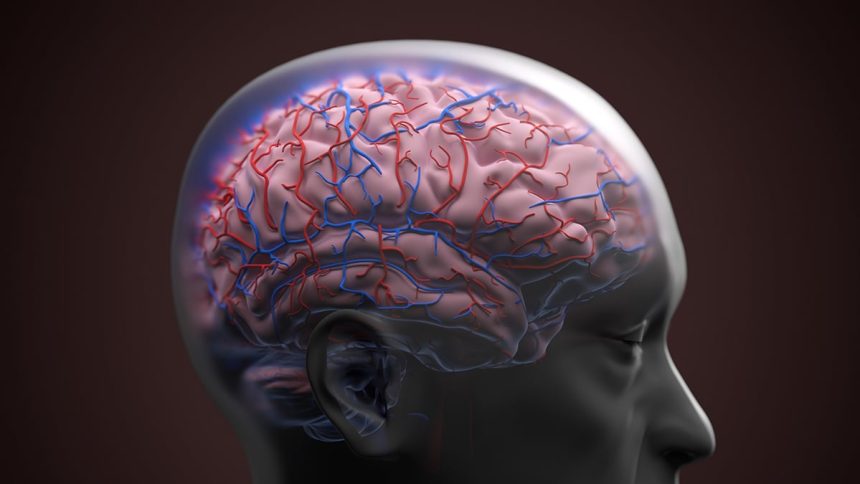 One Specific Blood Protein Can Identify Dementia Risk Decades Before Diagnosis : ScienceAlert
