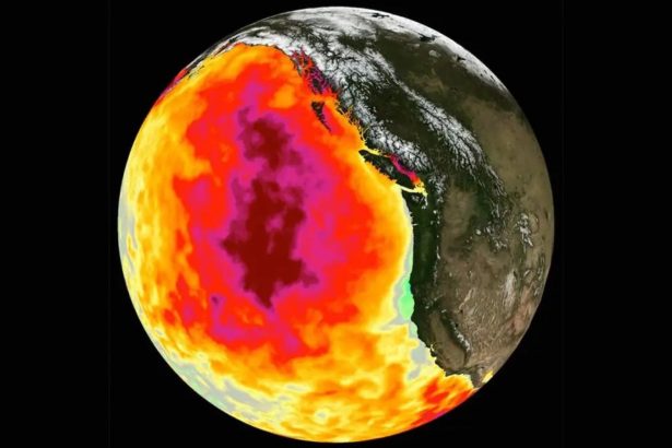 Overheating a Water Planet: Warmed Oceans Will Not Be Ignored