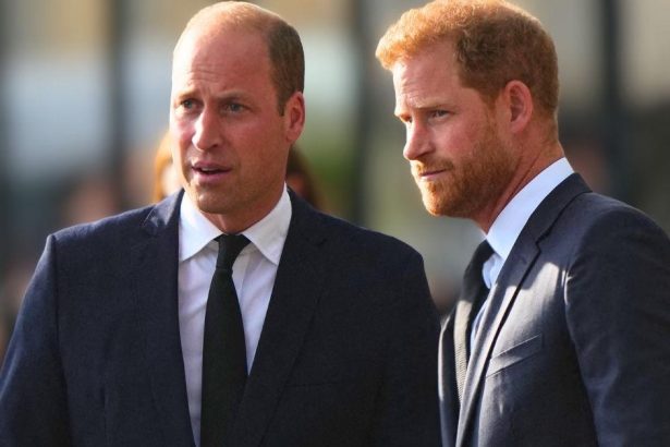 Prince William Waiting One Year To Cut Off Harry Forever