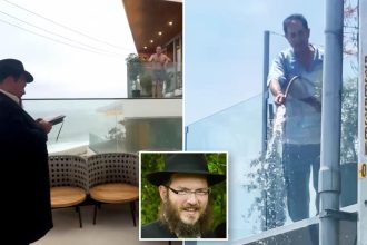 Raisin heir Bruce Lion was busted for terror threats