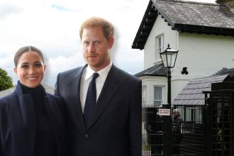 Royal Family Criticized Over Costly Harry and Meghan Project