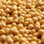 Soybean Oil Prices Fall as Crude Oil Slides Lower. 1 Trade to Make Here.