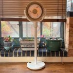 SwitchBot Standing Circulator Fan Review: Cordless Cooling