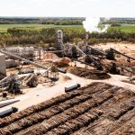 The hidden toll of wood pellet power