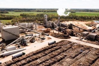 The hidden toll of wood pellet power