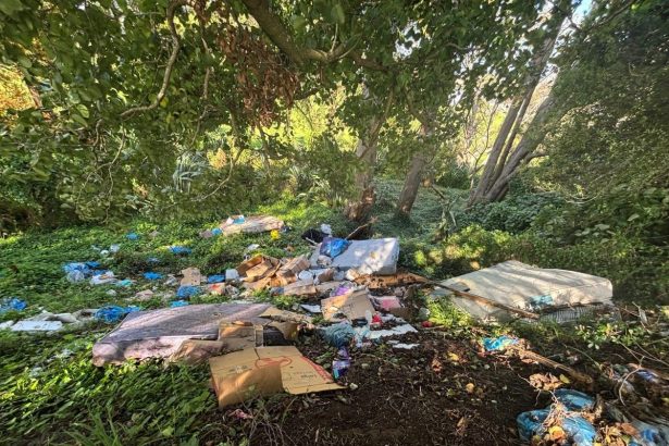 Thousands of tonnes of rubbish illegally dumped across NZ