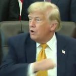 Trump Melts Down When Reporters Challenge His Reflecting Pool Vandalism Story