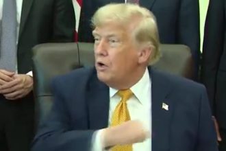 Trump Melts Down When Reporters Challenge His Reflecting Pool Vandalism Story