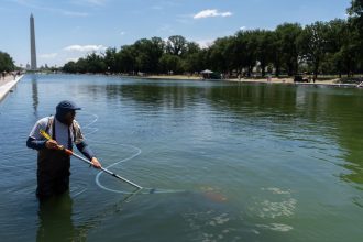 Trump Tries To Blame Reflecting Pool Woes On Vandalism, Says It Will Likely Be Drained Again For Repairs
